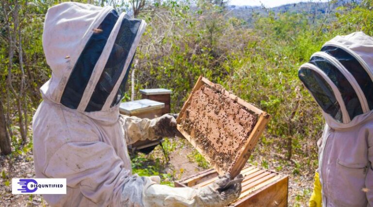 Bee Hive Starter Kit Essentials: What’s Included and What You’ll Still Need